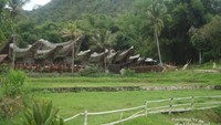Salah satu Warisan Rumah Adat Toraja bernama Tongkonan yang berlokasi di KeteKesu
