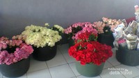 Bunga warna-warni