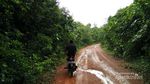 Liburan yang Tenang di Tanjung Kemirai Bangka