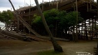 Kapal pinisi membutuh ratusan kubik kayu