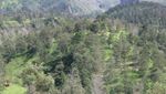 Lihat Cantiknya Merapi dari Kali Talang