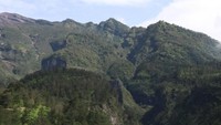 Hijau