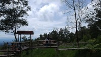 Back to Nature