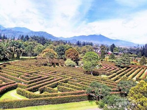 Lihatlah Bunga-bunga yang Indah di Taman Bunga Nusantara