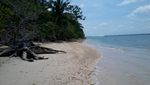 Liwungan, Pulau Tak Berpenghuni Nan Indah di Banten