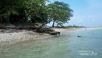 Liwungan, Pulau Tak Berpenghuni Nan Indah di Banten