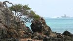 Lombok Juga Punya Pantai Kuta yang Indah dan Menawan!