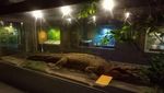 Lombok Punya Museum Keren Lho!