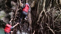 naik akar dan loncat setinggi 7 meter