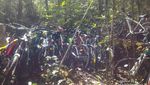 Long Weekend di Bangka, Gowes Seru Ke Air Terjun Dalil