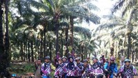 Eksis di antara Lebatnya Perkebunan Sawit