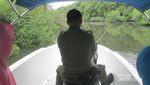 Long Weekend di Jakarta, Yuk Bertualang ke Hutan Mangrove