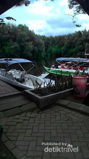 Long Weekend di Jakarta, Yuk Bertualang ke Hutan Mangrove