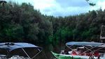 Long Weekend di Jakarta, Yuk Bertualang ke Hutan Mangrove
