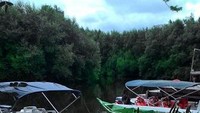 Taman Wisata Hutan mangrove