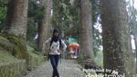 Long Weekend di Kebun Raya Cibodas