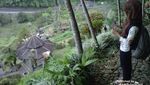 Long Weekend di Kebun Raya Cibodas