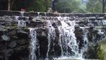 Long Weekend di Kebun Raya Cibodas