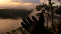 Embun pagi yang menyelimuti