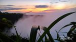 Long Weekend Ini, Nikmati Pagi di Kebun Buah Mangunan