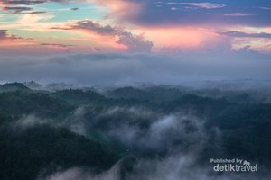 Long Weekend Ini, Nikmati Pagi di Kebun Buah Mangunan