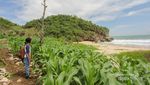 Long Weekend ke Gunungkidul, Datangi Pantai Perawan Ini