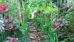 Long Weekend, Rileks Dulu Berendam Air Panas di Kaki Gunung Salak