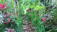 Taman pemandian air panas