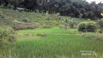 Long Weekend, Rileks Dulu Berendam Air Panas di Kaki Gunung Salak