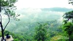 Lukisan Alam yang Indah di Kalibiru