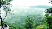 Kalibiru berkabut