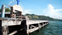 lukisan, kayu, pohon, danau, pulau, sentani, dream destination papua, jayapura