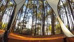 Lupakan Hutan Pinus Imogiri, Tempat Ini Lebih Instagenic
