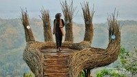 Spot foto jari raksasa di Pinus Pengger