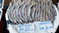 Hasil tangkapan laut yang dijual para pedagang