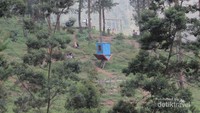 Wisata Selfie hutan cemara Di Grenden Pogalan Magelang