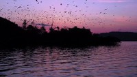 Senja cantik di Pulau Kelelawar (travelwan.com)