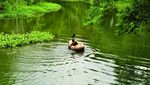 Main Air di Kampung Wisata Remboko