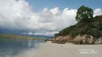 Main Bareng Bintang Laut di Pantai Telaga Bidadari, NTB
