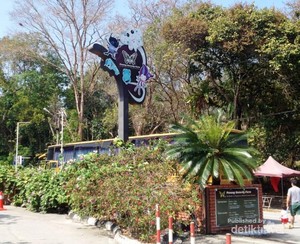 Main Bareng Kupu-kupu di Penang Butterfly Farm