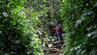 Trekknya yang berbatu dan terus menanjak