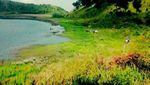 Main ke Dieng, Wajib Mampir ke Telaga Dringo