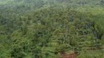 Main-main ke Lembang, Wajib ke Lodge Maribaya
