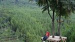Main-main ke Lembang, Wajib ke Lodge Maribaya