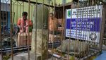 Makam Pangeran Kuning yang Terabaikan