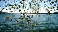 Cantiknya danau sentani dari pelataran restoran Yougwa
