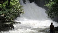 Air terjun bantimurung (Ammang/detikNews)