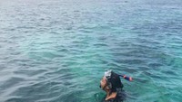 Cantiknya laut di Pulau Samalona.