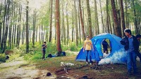 Hutan pinus