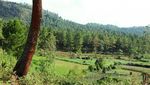 Malino, Puncak Bogor Ala Sulawesi Selatan